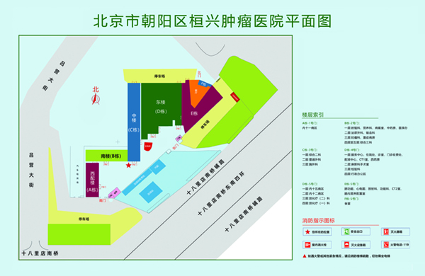 黄色变态无码网站艹出白水大鸡巴北京市朝阳区桓兴肿瘤医院平面图